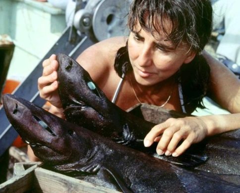 Eugenie-Clark-1024x576