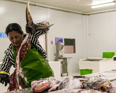 PescaGalapagosEcuador