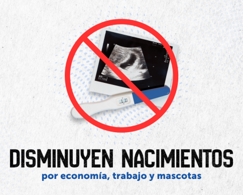 Taza fertilidad - QM