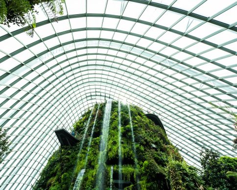 Beautiful architecture building flower dome garden and greenhouse forest landmark of singapore city for travel