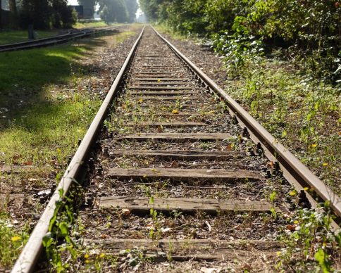 A beautiful shot of train tracks covered with grass during daytime