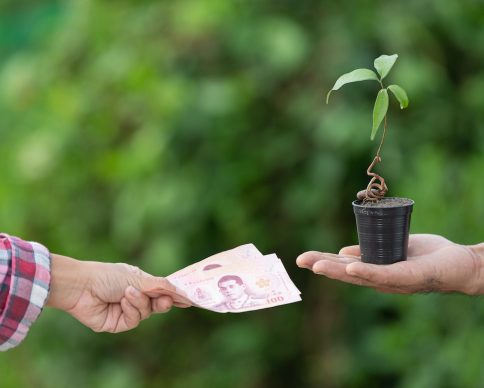 close up picture of money exchange with plants between customer and seller