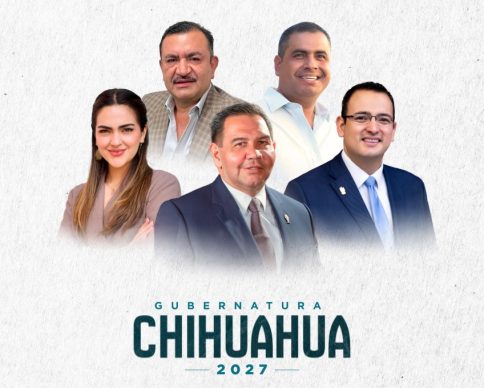 principal chihuahua qm