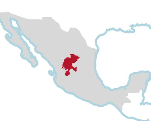 zacatecas